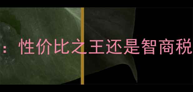 图片 山工青州装载机深度评测：性价比之王还是智商税？真实体验+行业口碑全1