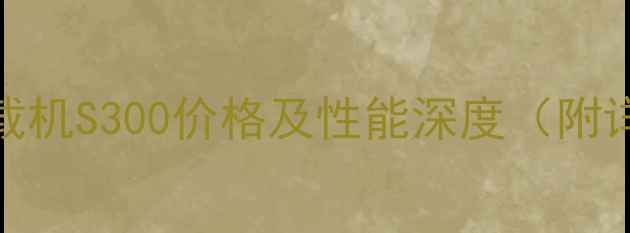 图片 山猫滑移式装载机S300价格及性能深度（附详细选购指南）