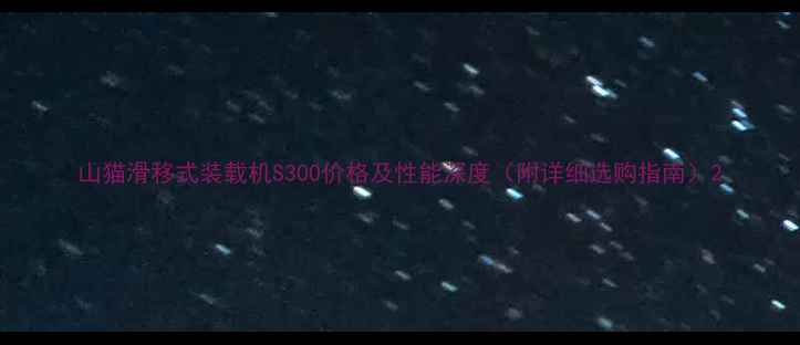 图片 山猫滑移式装载机S300价格及性能深度（附详细选购指南）2