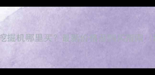 崇左铁甲二手挖掘机哪里买最新价格及购买指南附推荐机型