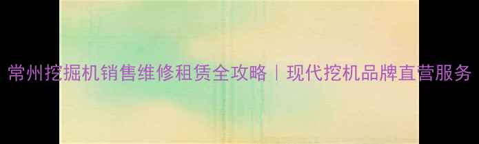 图片 常州挖掘机销售维修租赁全攻略｜现代挖机品牌直营服务