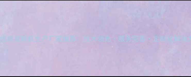 图片 广东优质装载机生产厂家推荐：技术领先·服务完善·定制化解决方案1