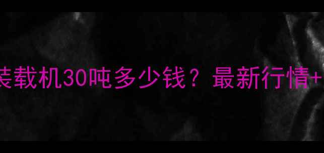图片 广元二手装载机30吨多少钱？最新行情+选购指南1