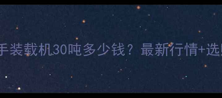 广元二手装载机30吨多少钱最新行情选购指南