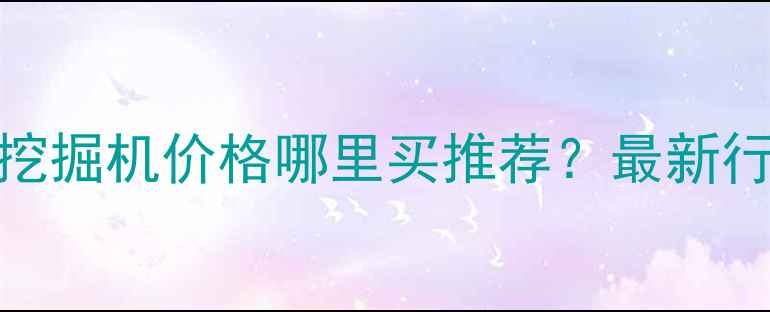 广州花都二手挖掘机价格哪里买推荐最新行情避坑指南