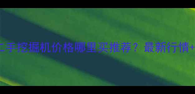 图片 广州花都二手挖掘机价格哪里买推荐？最新行情+避坑指南2