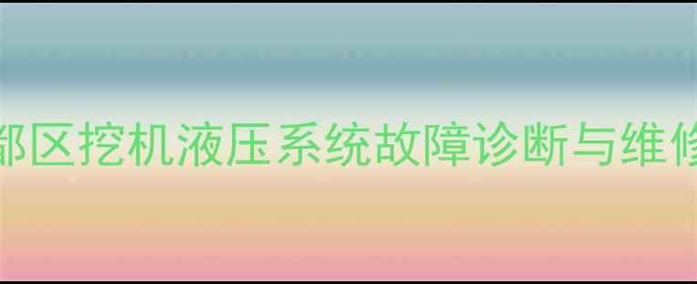图片 广州花都区挖机液压系统故障诊断与维修全指南