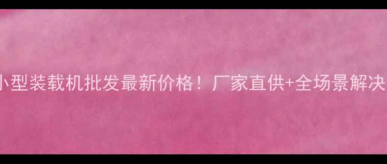 广西小型装载机批发最新价格厂家直供全场景解决方案