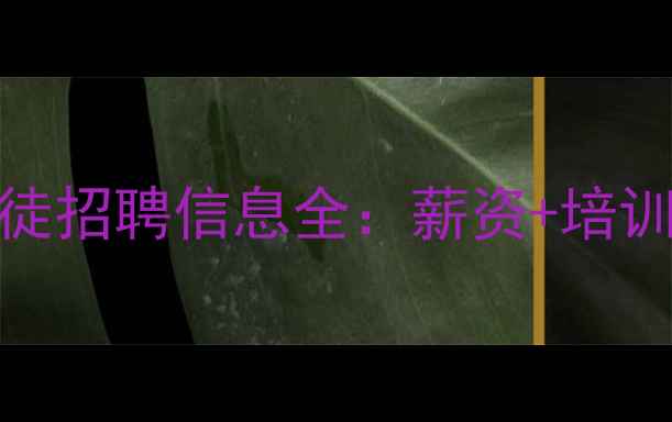 图片 广西挖机学徒招聘信息全：薪资+培训+就业前景1