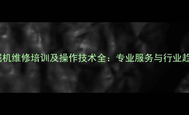 图片 广西梧州挖掘机维修培训及操作技术全：专业服务与行业趋势深度解读2