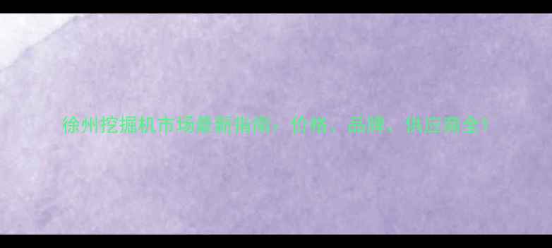 图片 徐州挖掘机市场最新指南：价格、品牌、供应商全1