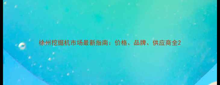 徐州挖掘机市场最新指南价格品牌供应商全