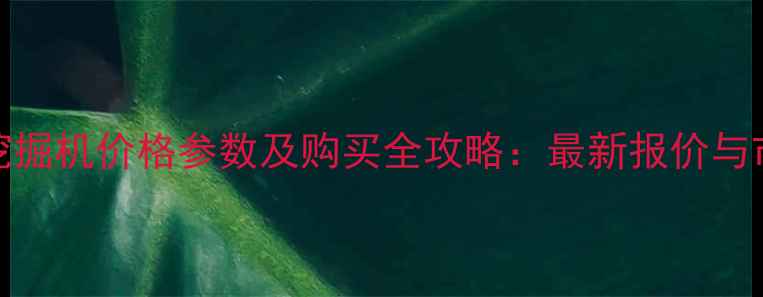 图片 徐工170挖掘机价格参数及购买全攻略：最新报价与市场分析1