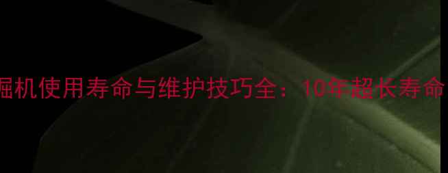 图片 徐工370挖掘机使用寿命与维护技巧全：10年超长寿命的5大关键1