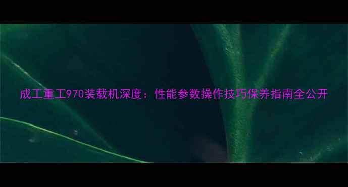 成工重工970装载机深度性能参数操作技巧保养指南全公开