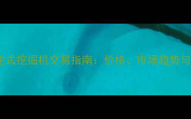 图片 成都二手轮式挖掘机交易指南：价格、市场趋势与选购技巧2