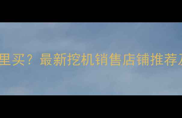 图片 成都挖机哪里买？最新挖机销售店铺推荐及购买指南2