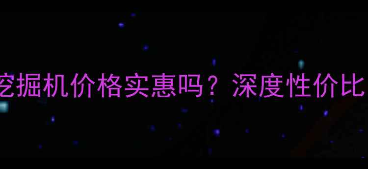 扬州利星行挖掘机价格实惠吗深度性价比与售后服务