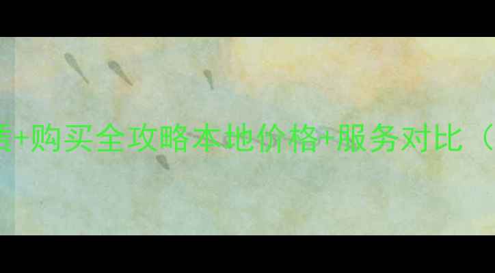 拉萨装载机租赁购买全攻略本地价格服务对比附避坑指南