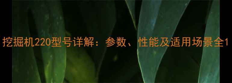 挖掘机220型号详解参数性能及适用场景全