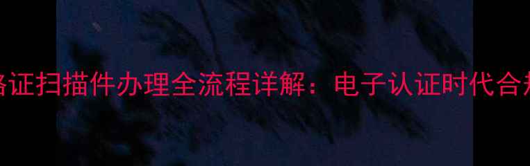 图片 挖掘机合格证扫描件办理全流程详解：电子认证时代合规操作指南