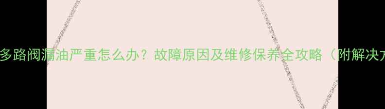 挖掘机多路阀漏油严重怎么办故障原因及维修保养全攻略附解决方案