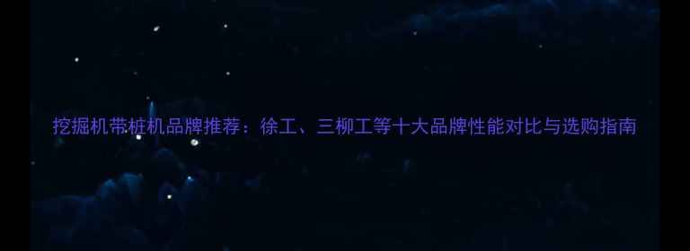 挖掘机带桩机品牌推荐徐工三柳工等十大品牌性能对比与选购指南