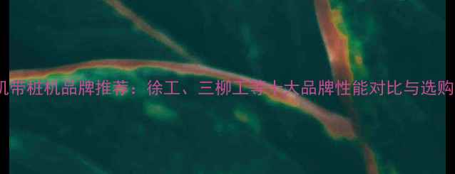 图片 挖掘机带桩机品牌推荐：徐工、三柳工等十大品牌性能对比与选购指南1