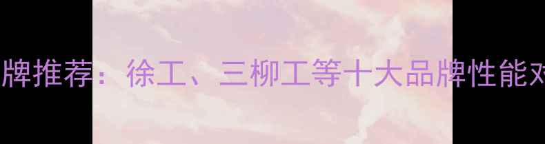 图片 挖掘机带桩机品牌推荐：徐工、三柳工等十大品牌性能对比与选购指南2