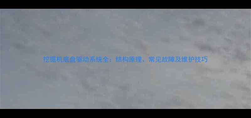 挖掘机底盘驱动系统全结构原理常见故障及维护技巧