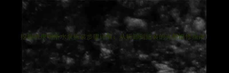 挖掘机康明斯水泵拆装步骤详解从拆卸到组装的完整维修指南