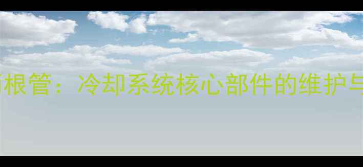 挖掘机水箱两根管冷却系统核心部件的维护与故障诊断全