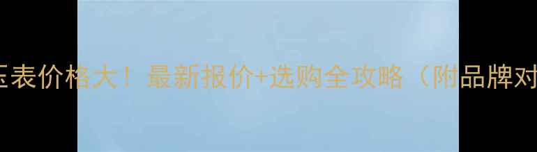 图片 挖掘机液压表价格大！最新报价+选购全攻略（附品牌对比）🚜💡1