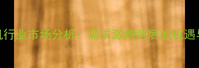 挖掘机行业市场分析需求激增背后的机遇与挑战