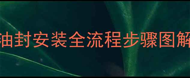 挖掘机行走浮动油封安装全流程步骤图解常见故障处理