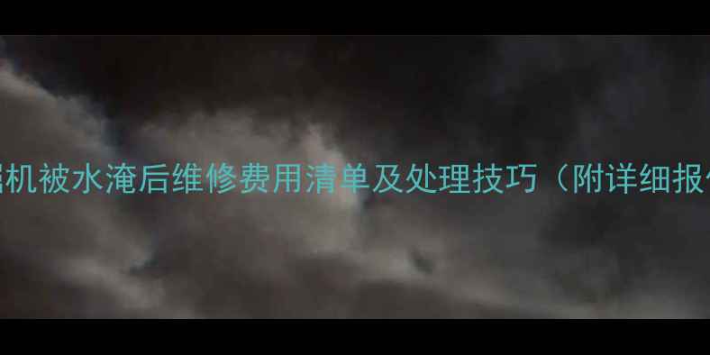 挖掘机被水淹后维修费用清单及处理技巧附详细报价