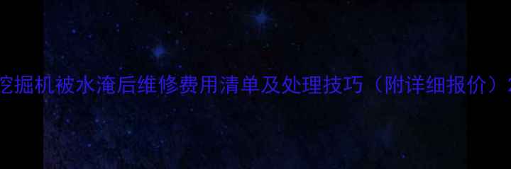 图片 挖掘机被水淹后维修费用清单及处理技巧（附详细报价）2