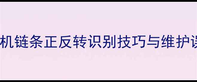 图片 挖掘机链条正反转识别技巧与维护误区1