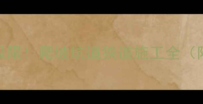 挖机低速档速度极限爬坡坑道狭道施工全附动力参数对比