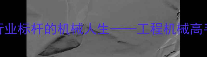 图片 挖机哥何玉：从学徒到行业标杆的机械人生——工程机械高手的成长之路与操作秘籍