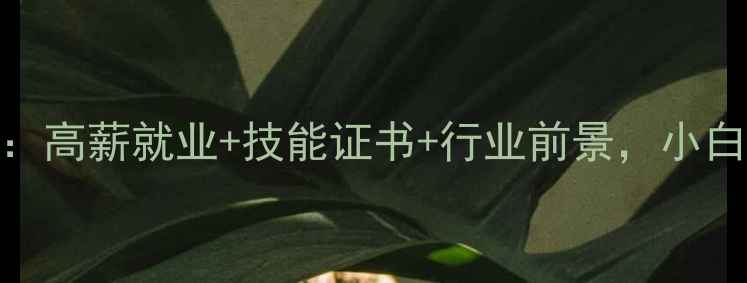 图片 挖机培训全攻略：高薪就业+技能证书+行业前景，小白也能轻松入门！