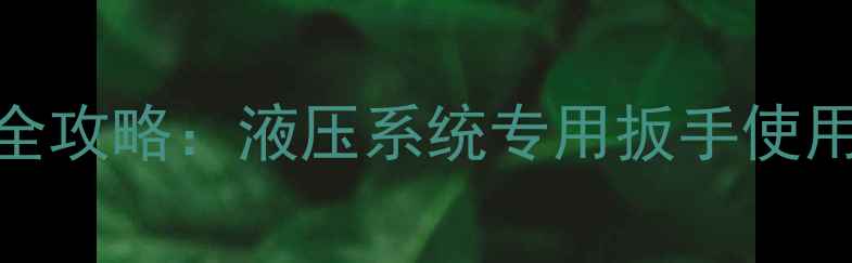 图片 挖机小油缸拆装全攻略：液压系统专用扳手使用技巧与选购指南
