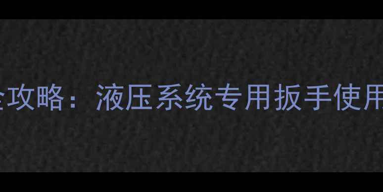 图片 挖机小油缸拆装全攻略：液压系统专用扳手使用技巧与选购指南1
