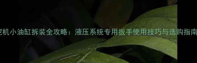 图片 挖机小油缸拆装全攻略：液压系统专用扳手使用技巧与选购指南2