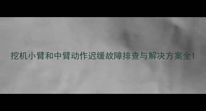 图片 挖机小臂和中臂动作迟缓故障排查与解决方案全1