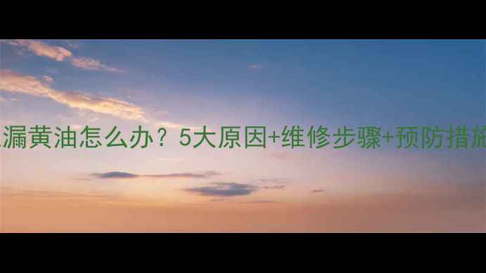 图片 挖机履带油缸漏黄油怎么办？5大原因+维修步骤+预防措施（附图解）2