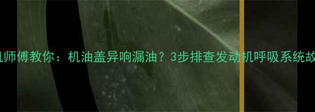 图片 挖机师傅教你：机油盖异响漏油？3步排查发动机呼吸系统故障1