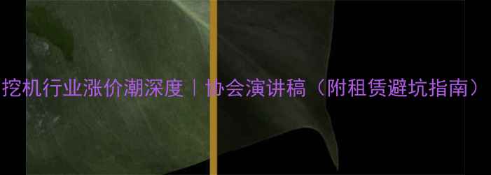 图片 挖机行业涨价潮深度｜协会演讲稿（附租赁避坑指南）