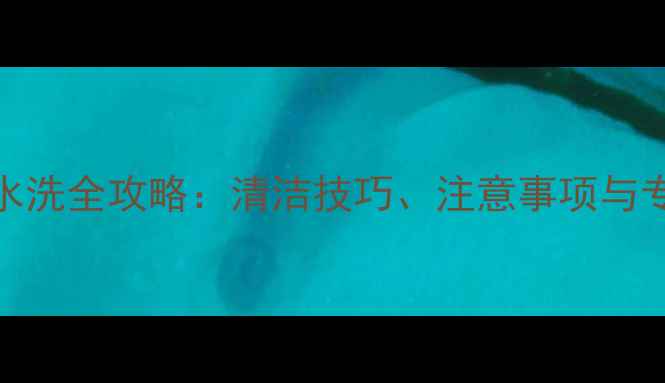 图片 挖机驾驶室水洗全攻略：清洁技巧、注意事项与专业维护指南