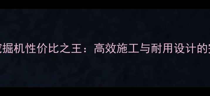 图片 斗山225挖掘机性价比之王：高效施工与耐用设计的完美结合2